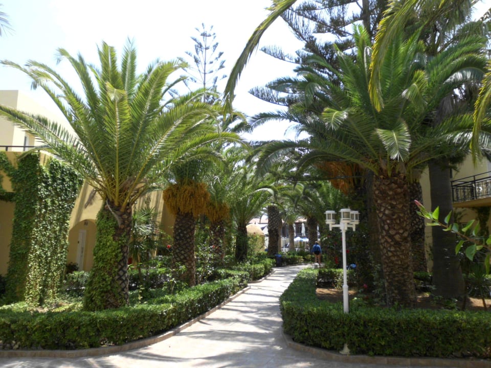 Weg vom Strand zum Hotel Vantaris Luxury Beach Resort