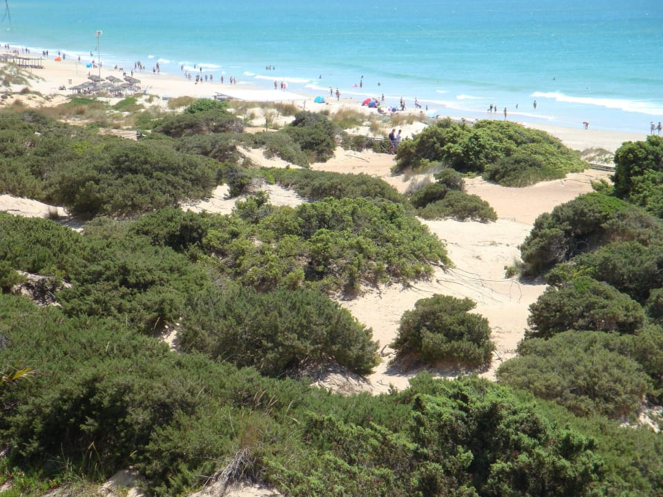 Blick vom Zimmer Hipotels Barrosa Park