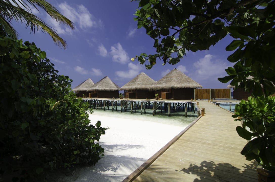 Wasservilla Aussenansicht Mirihi Island Resort