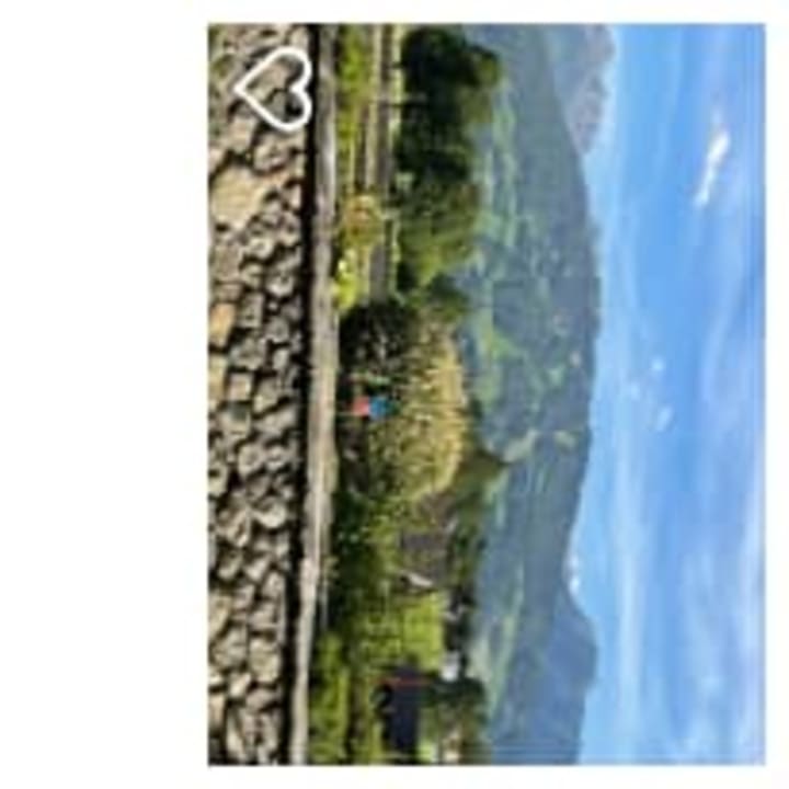 Ausblick Almfrieden Hotel & Romantikchalet