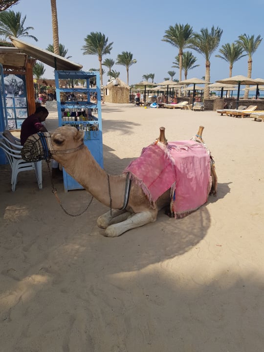 Strand Golden Beach Resort