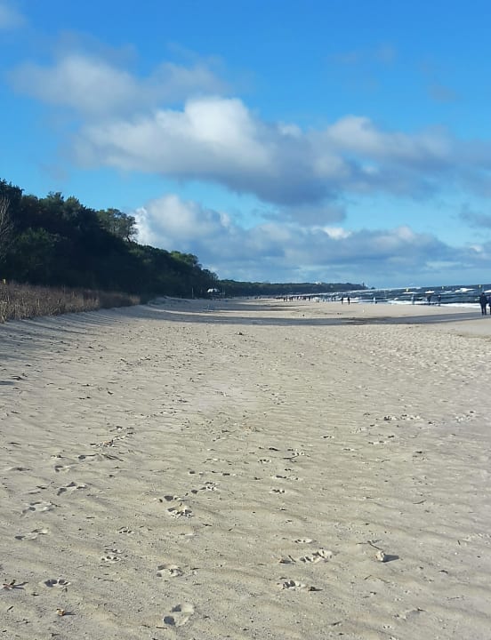 Strand Marine & Ultra Marine