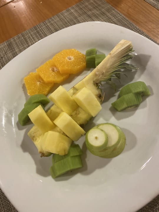 Gastro Paloma Oceana