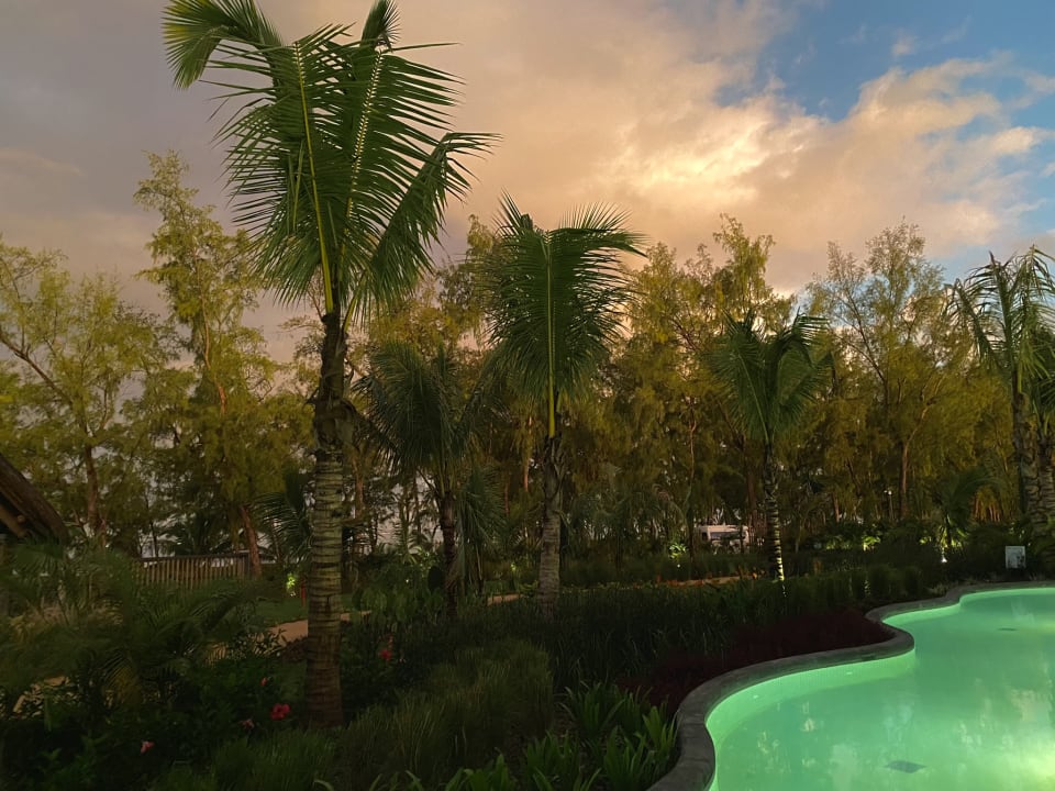 Gartenanlage Sunrise Attitude - Adults Only