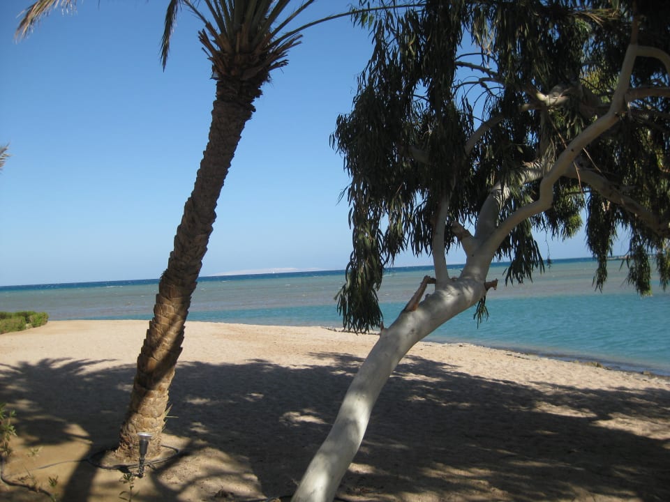 Strand zwischen Brücke und Miramar Beach Sheraton Miramar Resort El Gouna