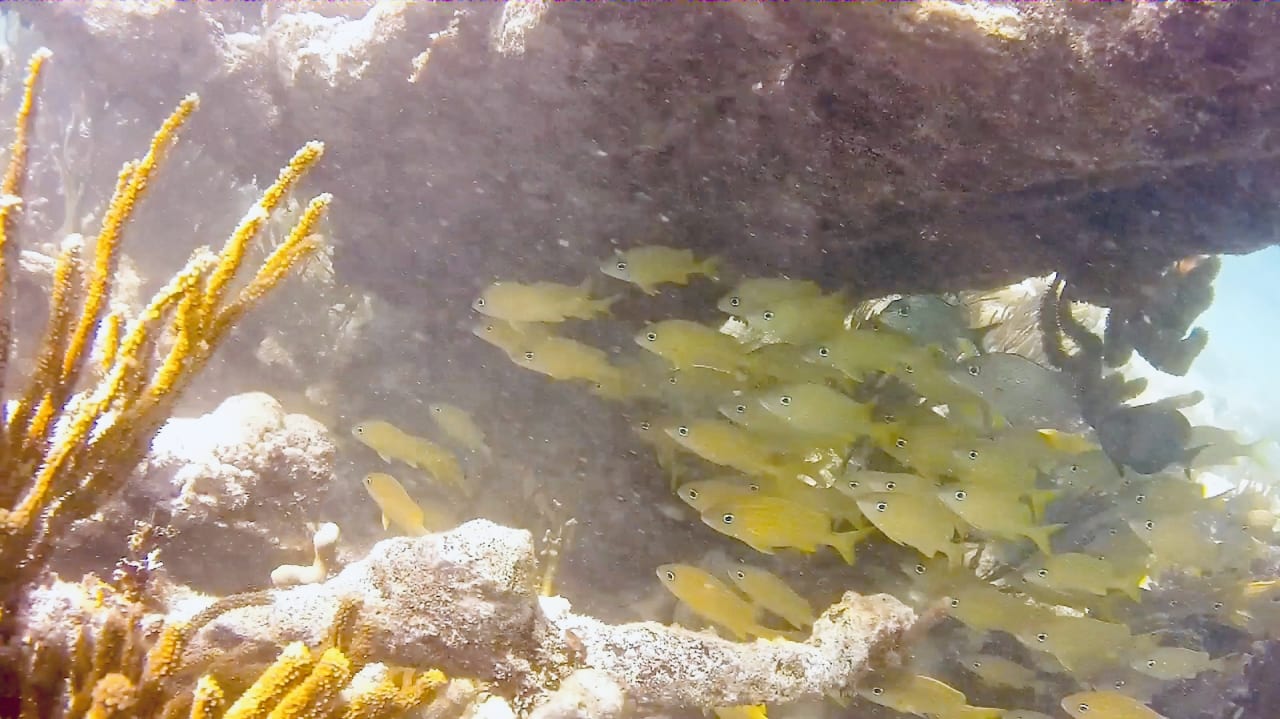 Sport & Freizeit Akumal Bay Beach & Wellness Resort