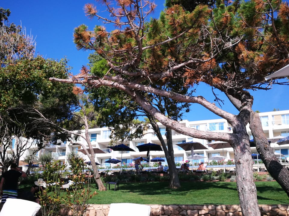 Gartenanlage Valamar Girandella Designed for Adults