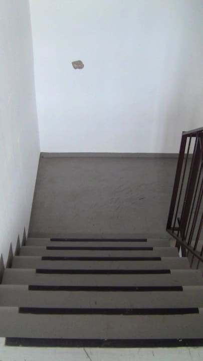 Nottreppe Panoramic - Ihr Apartmenthotel im Harz