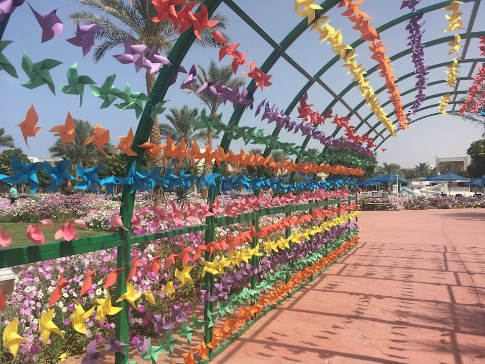 Gartenanlage Desert Rose