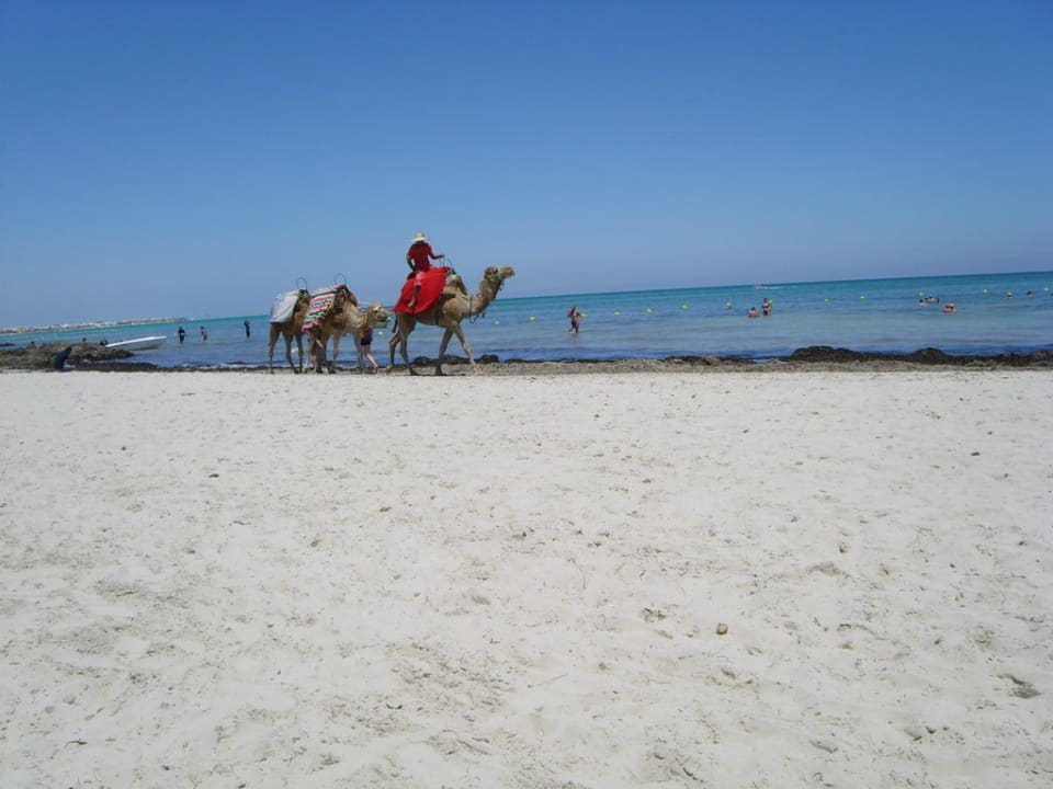 Am Strand Iberostar Waves Mehari Djerba