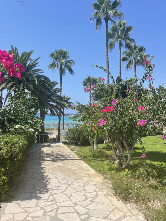 Gartenanlage Hotel Nissi Beach Resort