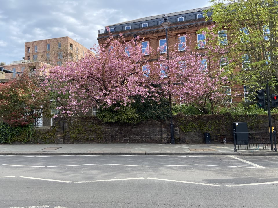 Ausblick Hotel Premier Inn London Hampstead