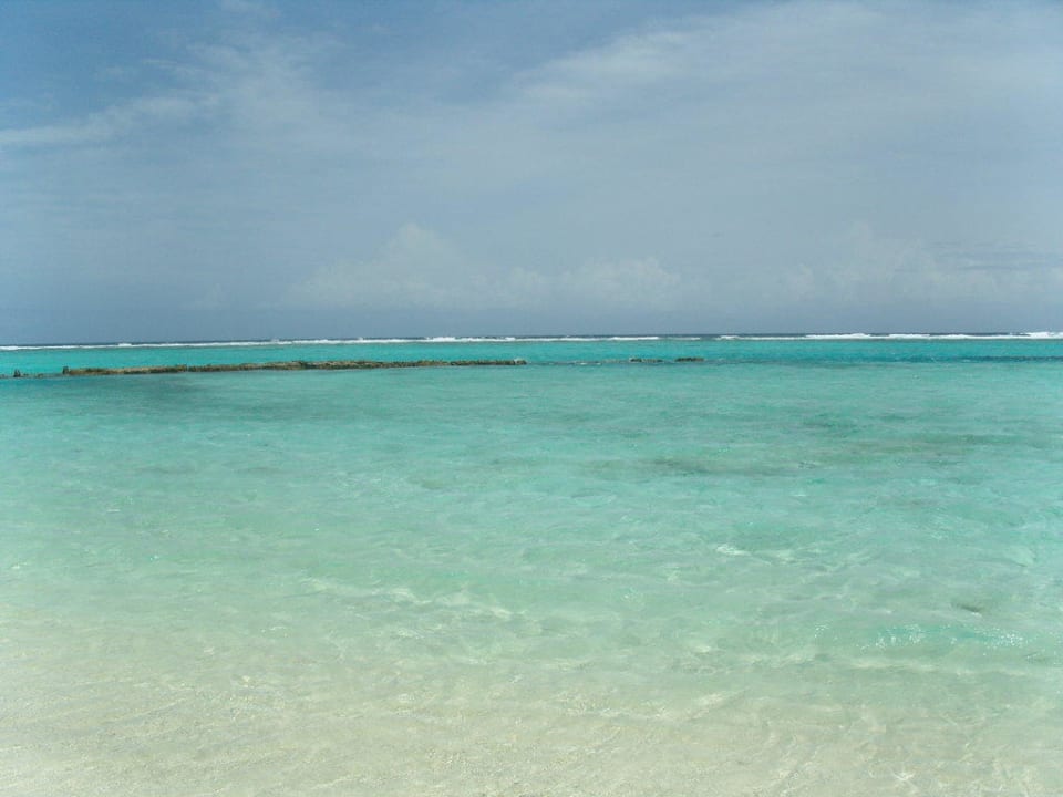 Hmm Summer Island Maldives