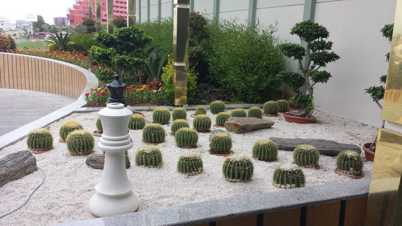 Begrünung Hotel Delphin Imperial