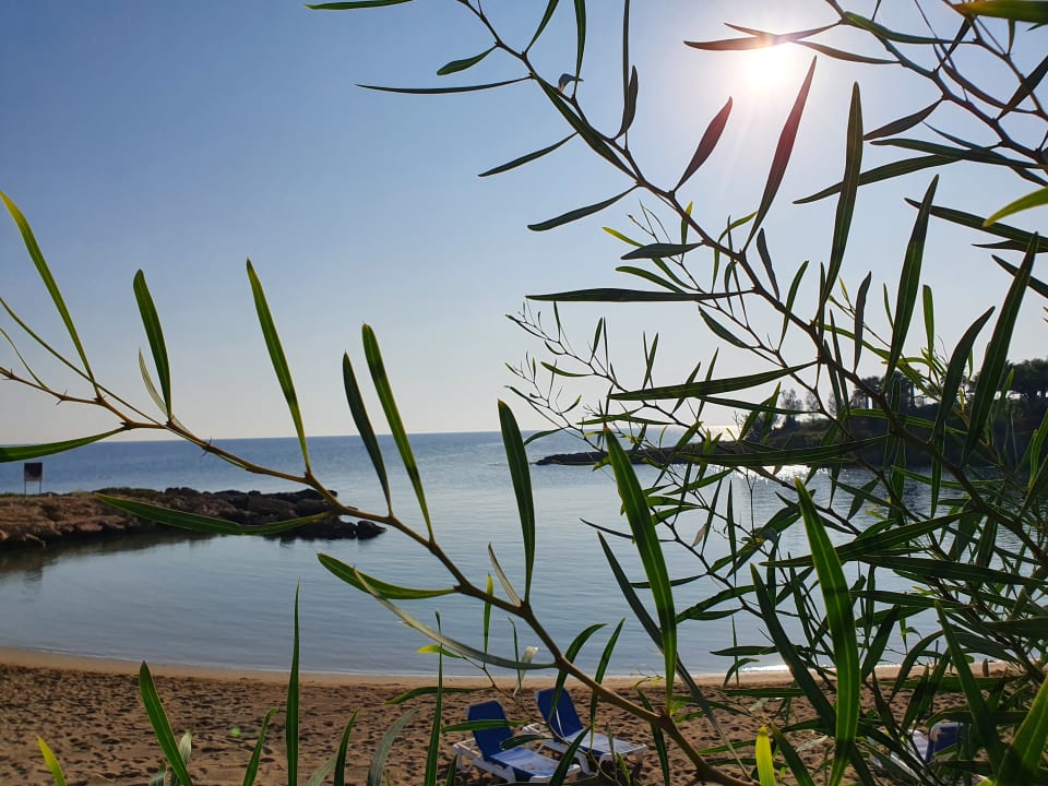 Strand Crystal Springs Beach Hotel