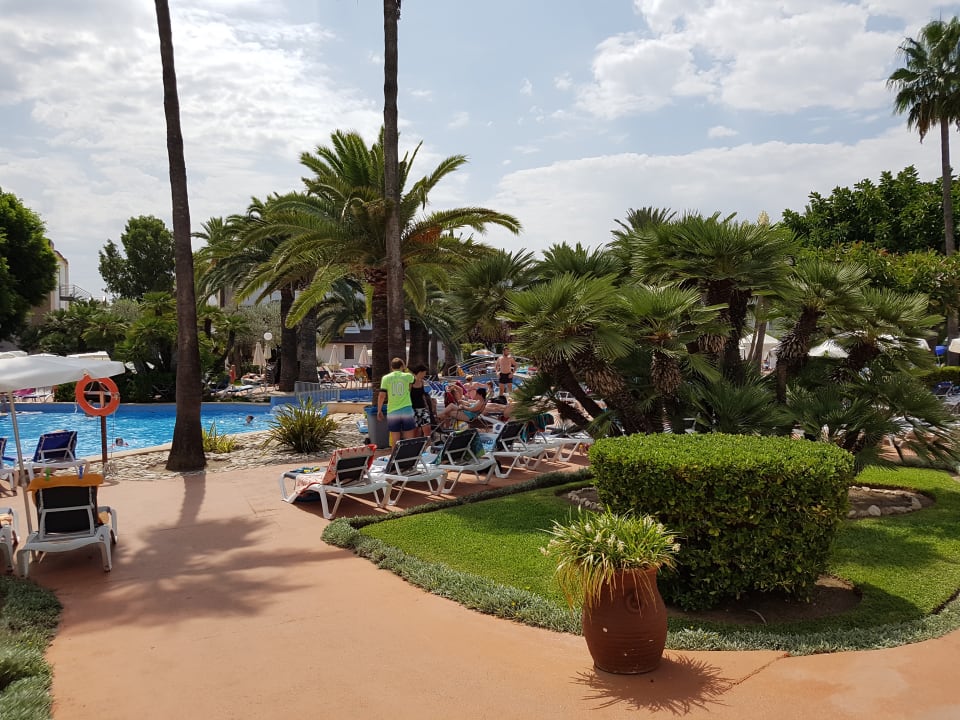 Gartenanlage Alcudia Garden Aparthotel