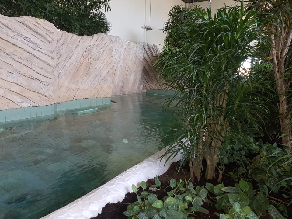 Pool Center Parcs Park Allgäu