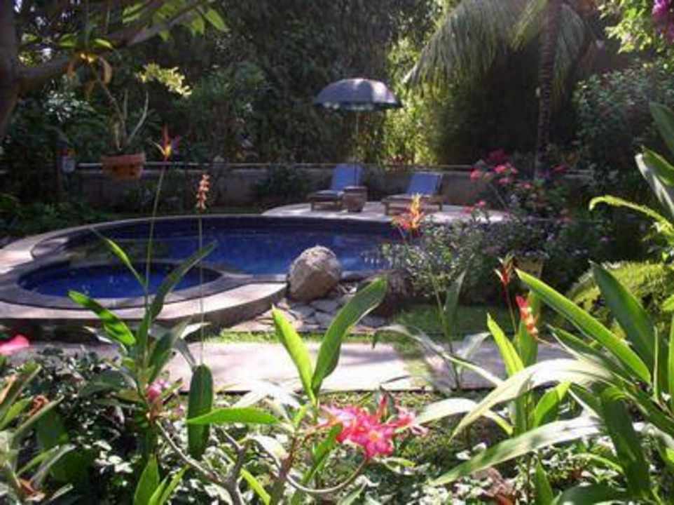 Blumen und Pool Saraswati Holiday House