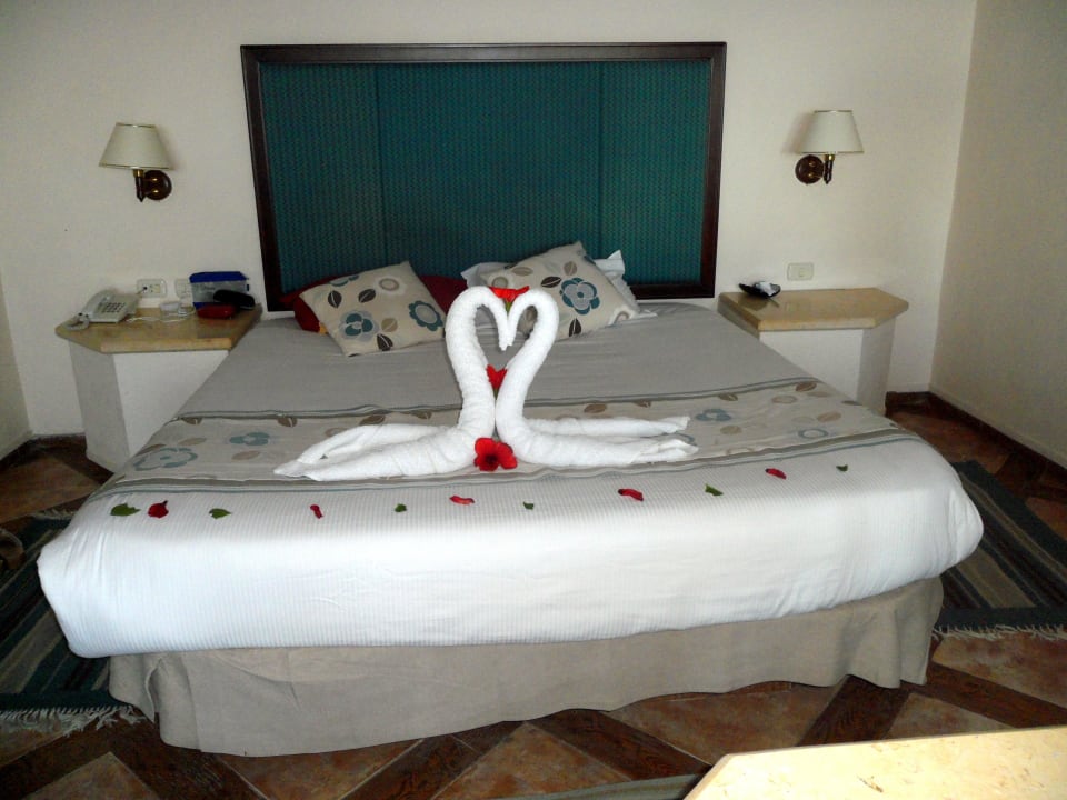 Kingsize Pickalbatros Citadel Resort