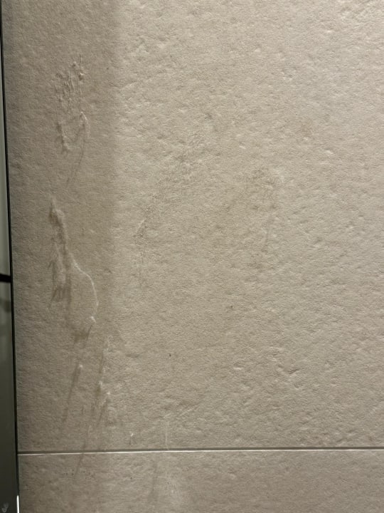 Zimmer Crystal Waters