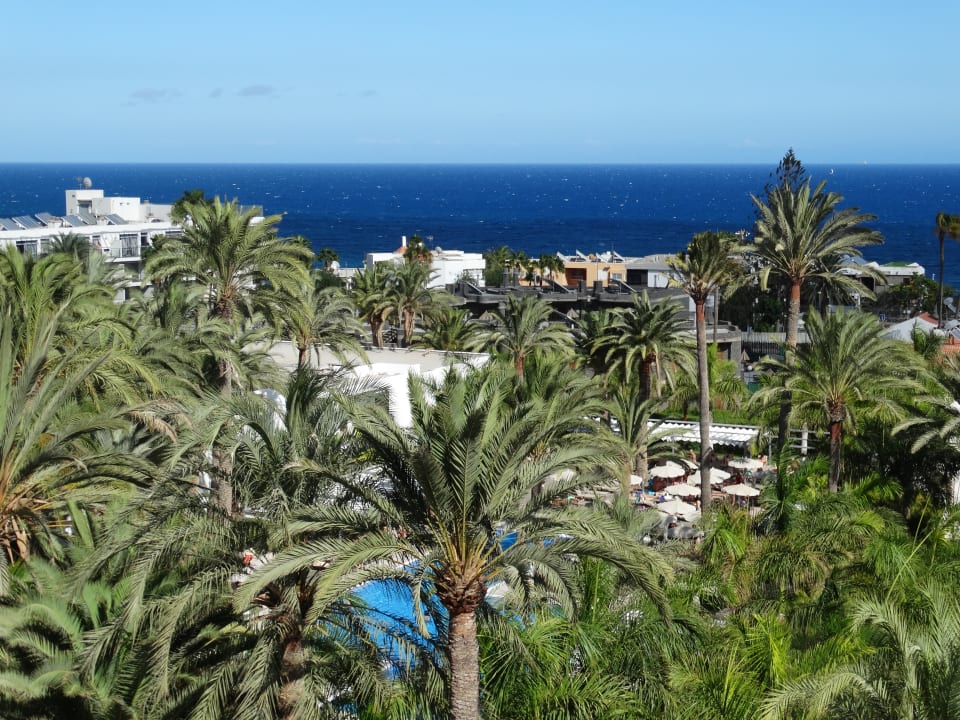 Ausblick Hotel Riu Palace Palmeras