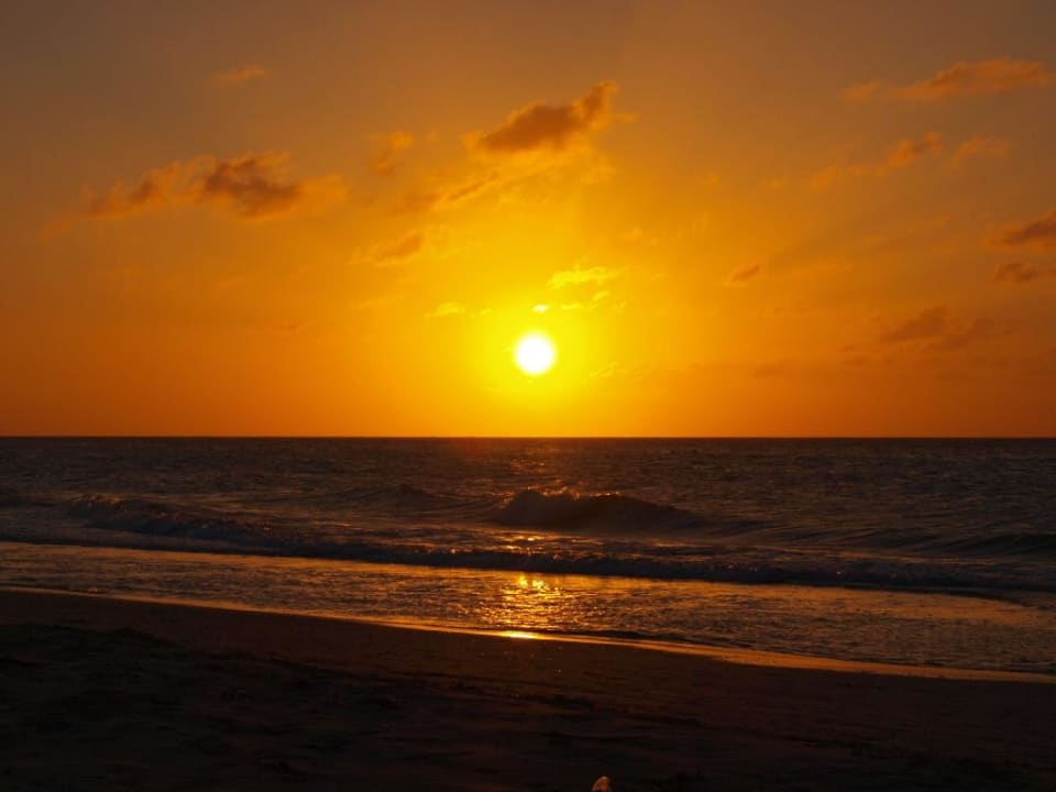 Sonnenuntergang Sol Palmeras