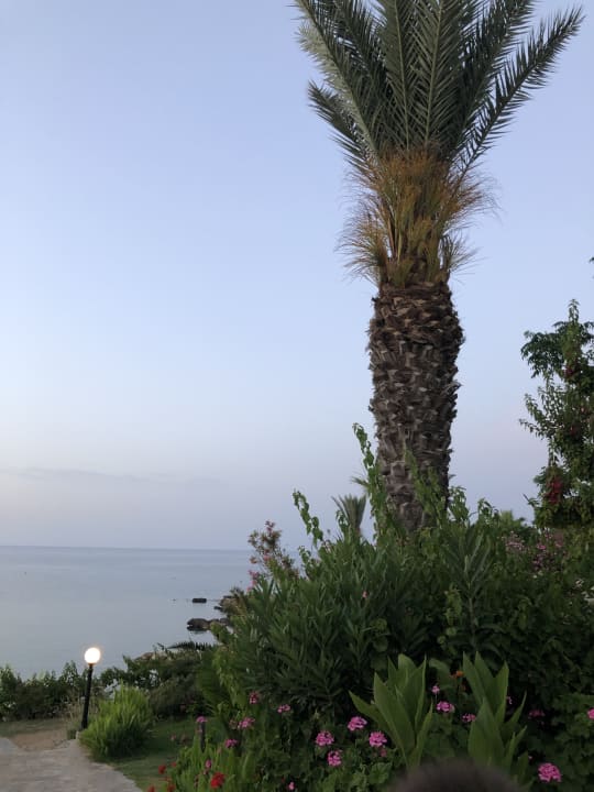 Strand Crystal Springs Beach Hotel