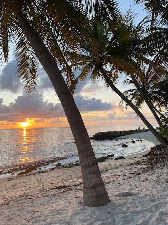 Ausblick Summer Island Maldives