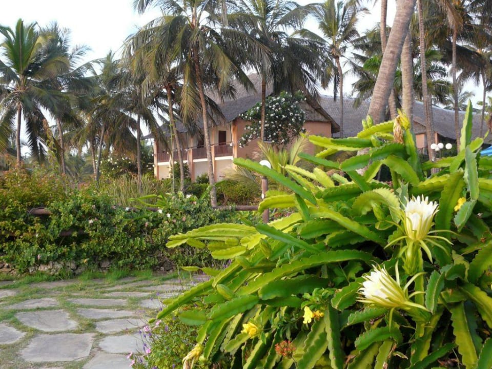 Gartenanlage Bahari Beach Hotel