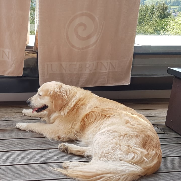 Sonstiges Jungbrunn - Der Gutzeitort