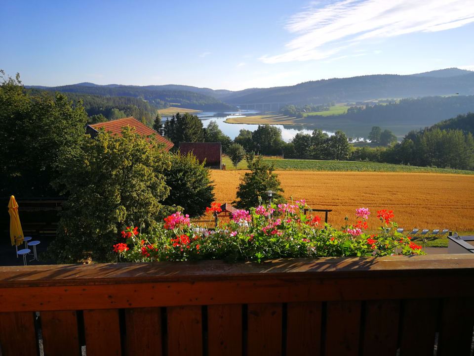 Ausblick Panorama-Hotel am See