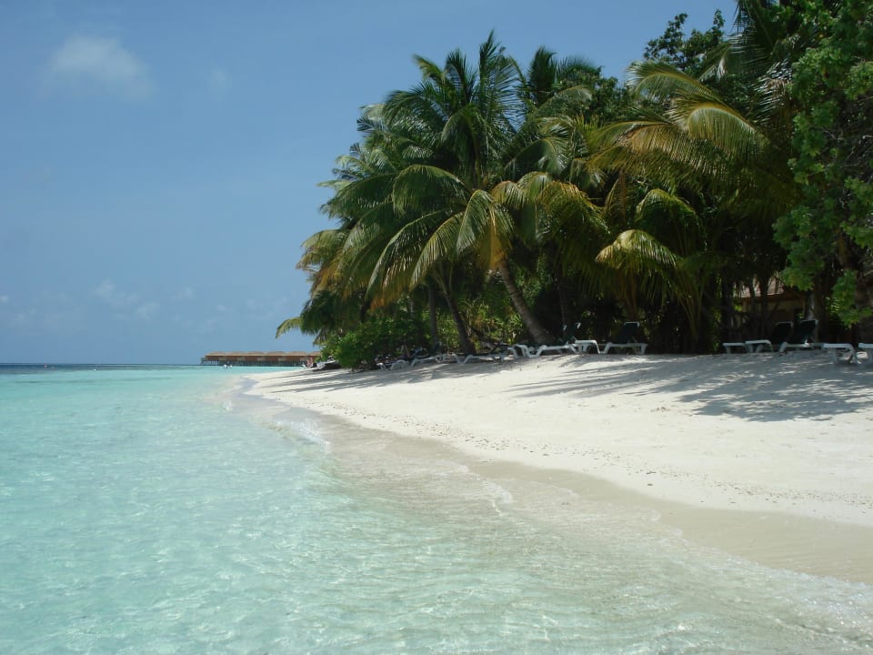 Bei Zimmer 230 Vilamendhoo Island Resort & Spa