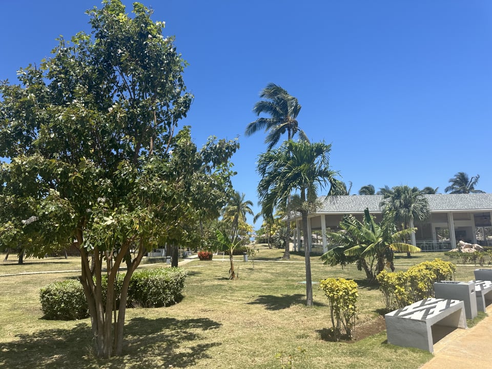 Gartenanlage Sol Varadero Beach