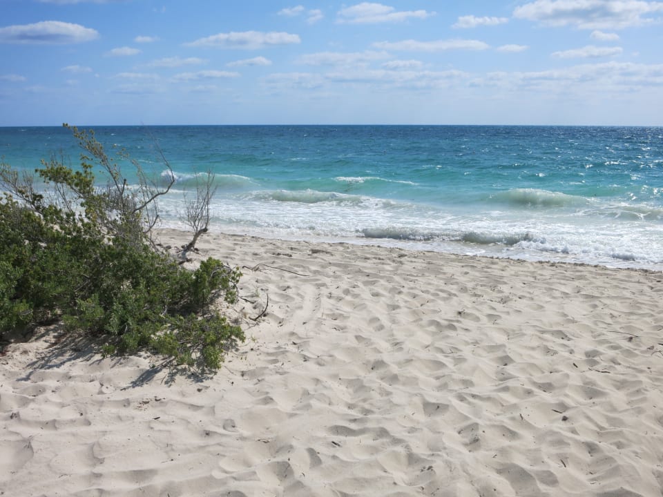 Strand Hotel Riu Dunamar