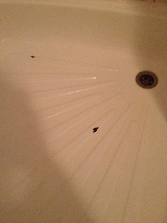 Dusche Pension Fortuna