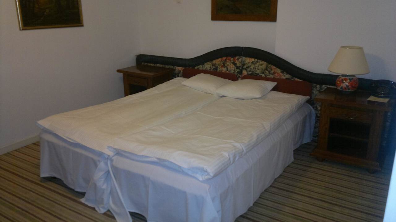 Dwuosobowy pokój Hotel Palac