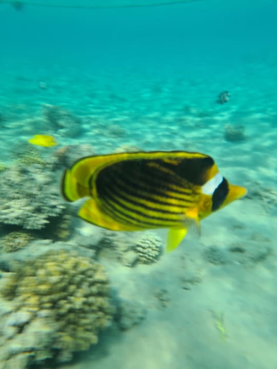 Sport & Freizeit Grand Waterworld Makadi & Family Star Makadi