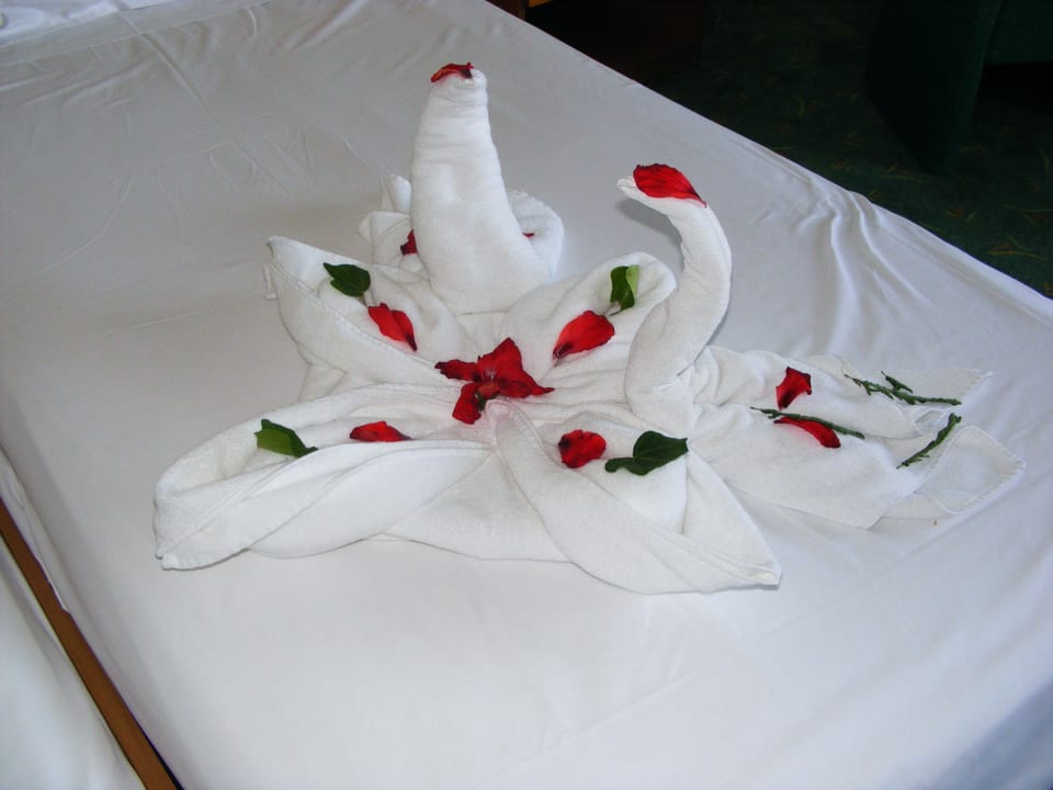 Heute saßen die Schwäne auf einer Handtuchblüte El Mouradi Hammamet