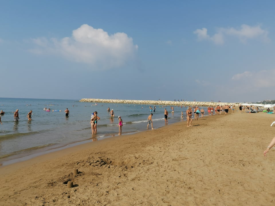 Pool Hane Family Resort