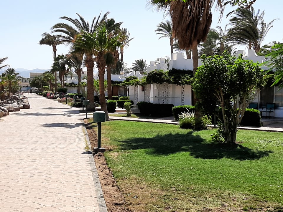 Gartenanlage Shams Safaga Resort