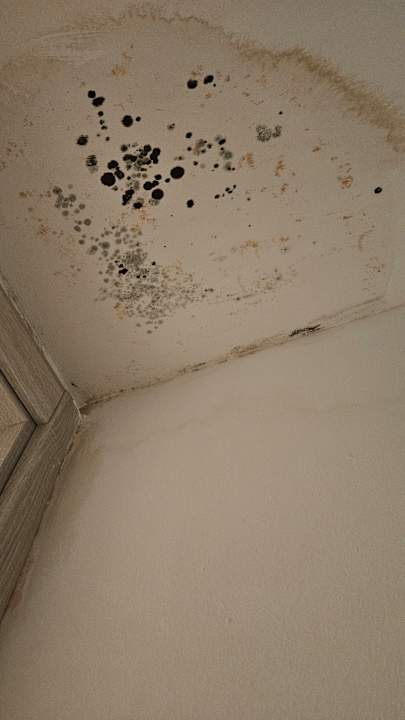 Zimmer Hotel Palia Sa Coma Playa