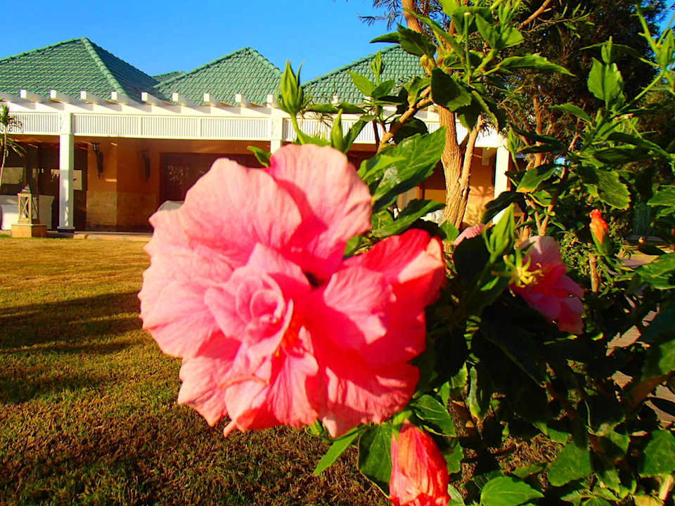 Территория Pickalbatros Alf Leila Wa Leila Resort - Neverland Hurghada