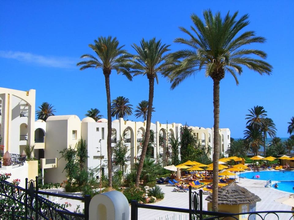 Giardino e piscina Hotel Eden Star
