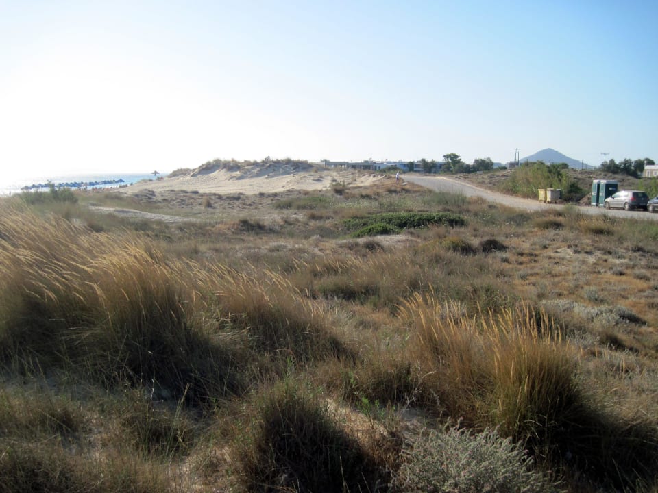 Dünen auf dem Weg zum Strand Nikos Maria Studios
