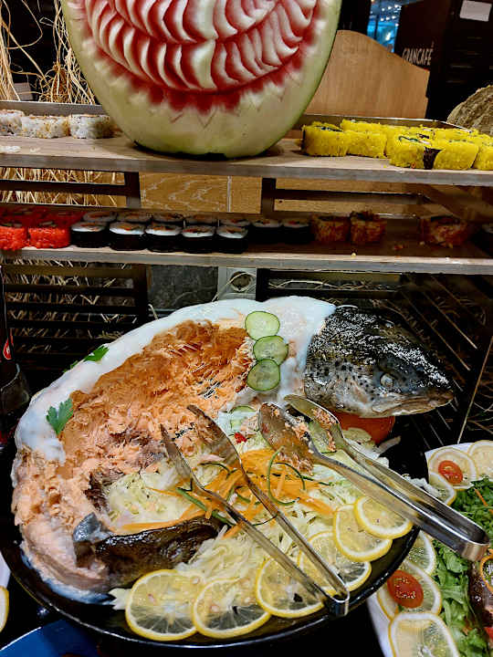 Gastro Seashell Vega