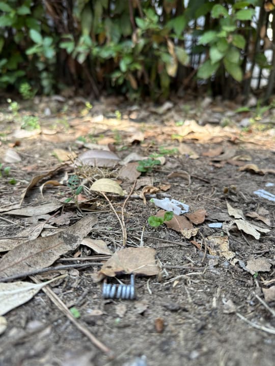 Gartenanlage HU Park Albatros Village by Happy Camp