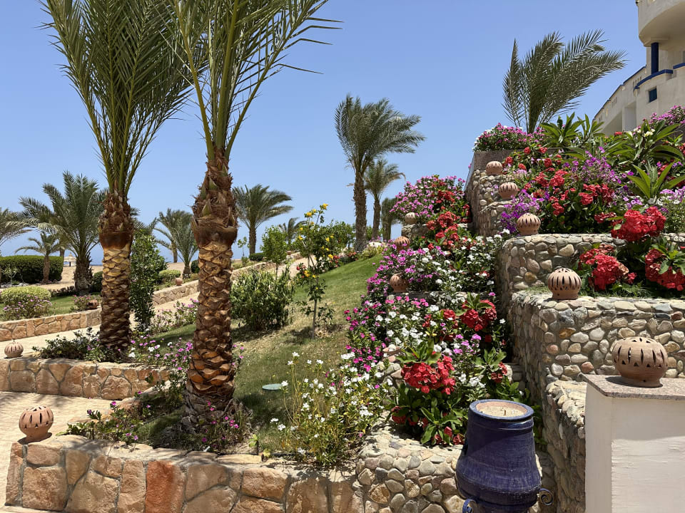 Gartenanlage Coral Sun Beach