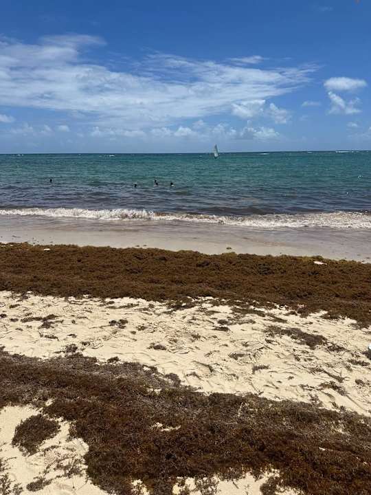 Strand Hotel Riu Palace Bavaro