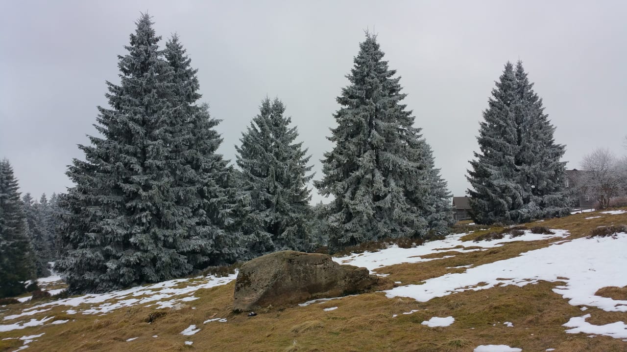 Direkt an dem Hotel Torfhaus Harzresort