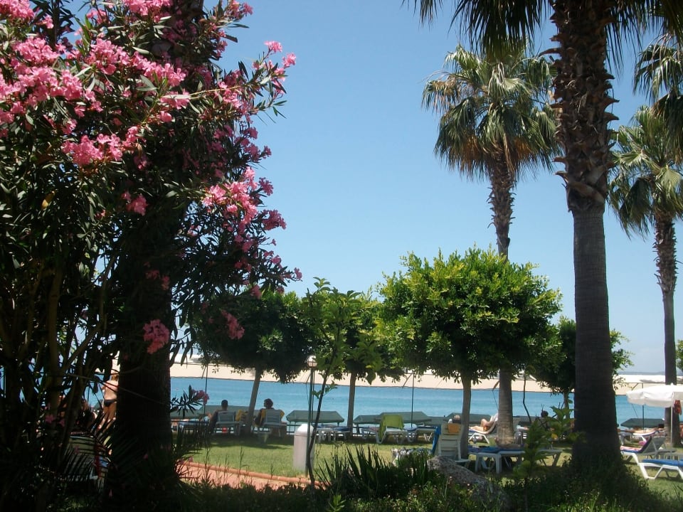 Venessa Beach Hotel Venessa Beach Hotel